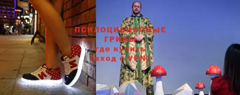 omg маркетплейс  Верхотурье  Псилоцибиновые грибы Psilocybe 